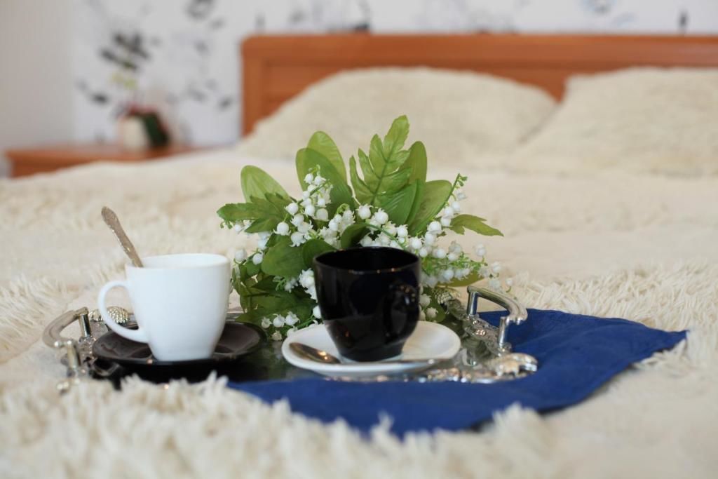 Апартаменты Апартаменты Наталия Брест-45